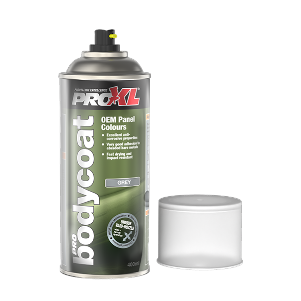 PROXL BODYCOAT AEROSOL Product Image